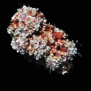 Eriogonum fasciculatum6