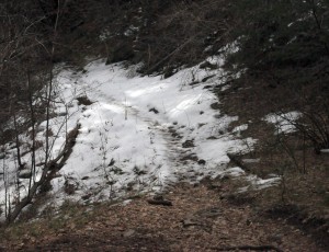 Snow patches