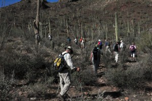 Climbing to Walcott saddle