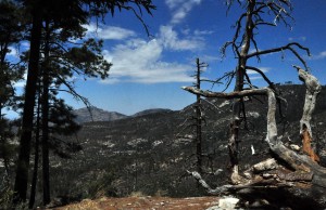 Palisades trail view