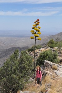 Amy and agave