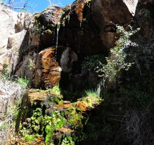 Grotto 2