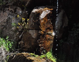 Grotto