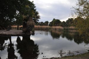 agua-caliente-park