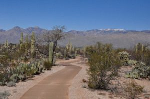 Paved trail