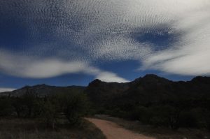 Catalina clouds